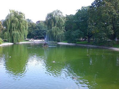 Saxon Gardens Lake
